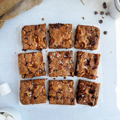 overhead shot of s'mores bars cut into 9 slices