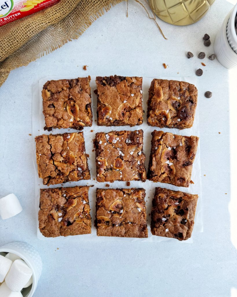 overhead shot of s'mores bars cut into 9 slices